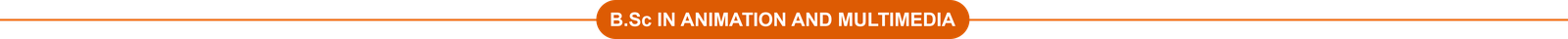 B.Sc Animation Courses