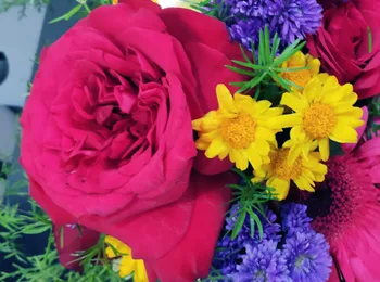 flower arrangement images of iifa 11