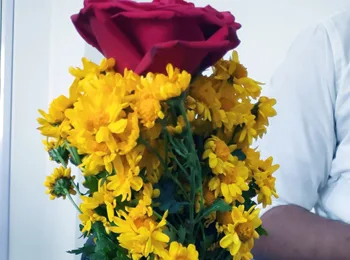 flower arrangement images of iifa 12