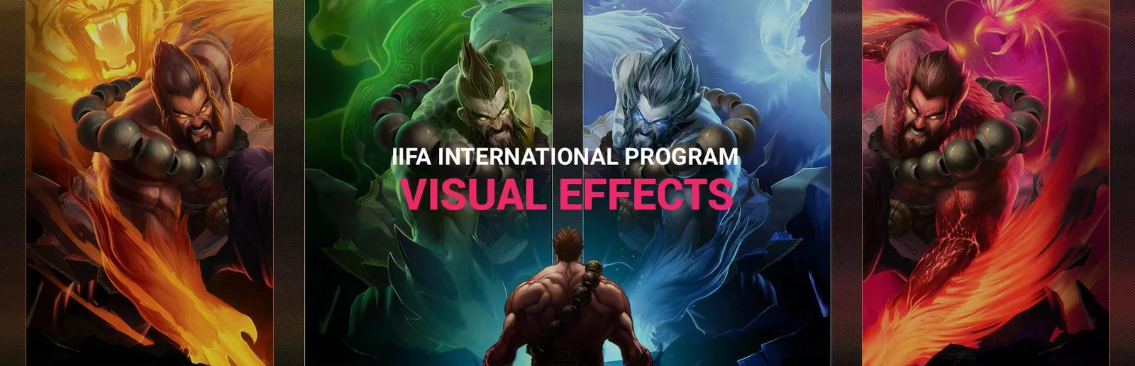 iddp_in_animation