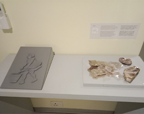 studytrip-for-museum-of-art-&-photography-(MAP)-8.jpg