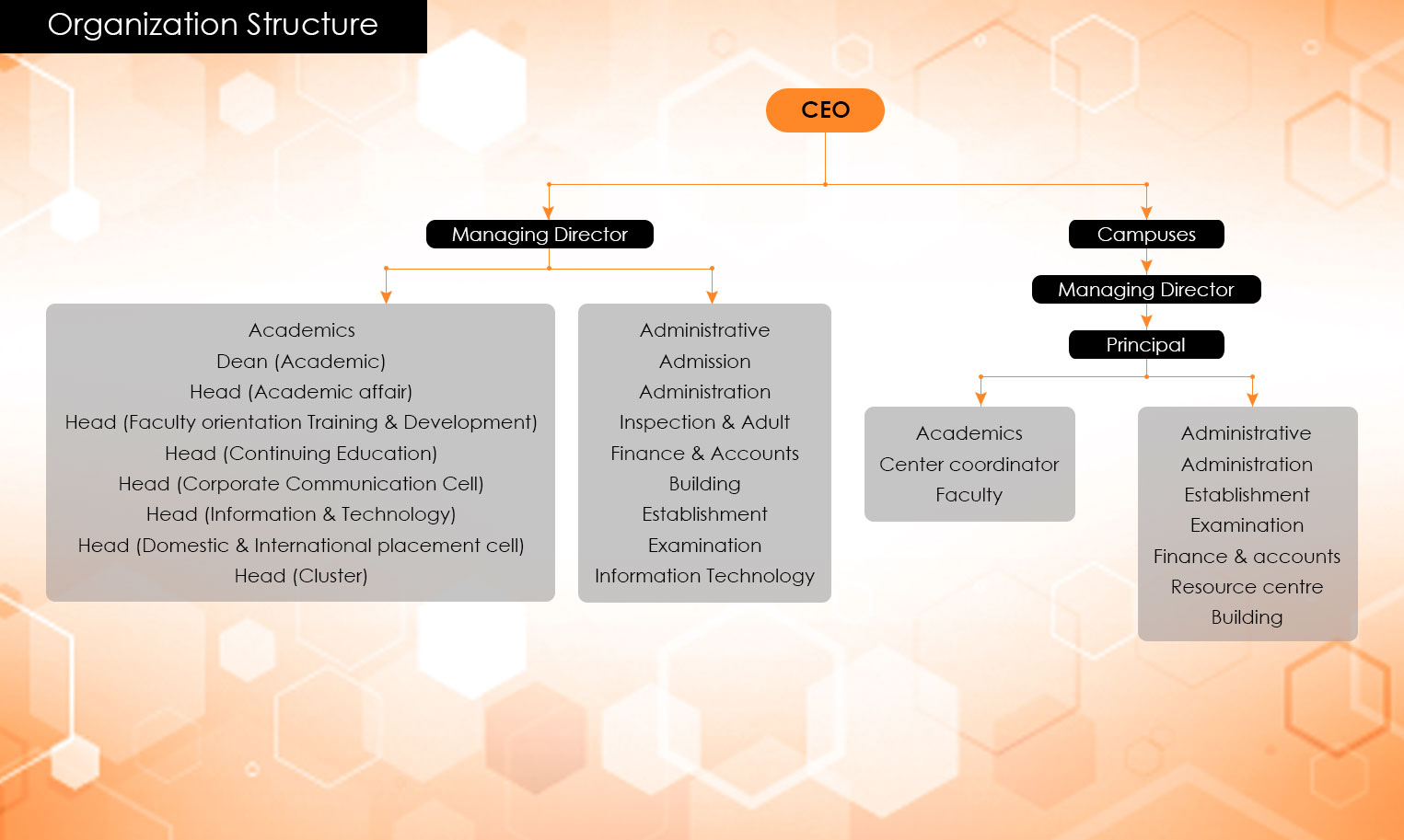 organisation structure